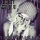 Picture for song 'I Don't Blame Her' by artist 'LoFi Guru'