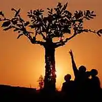 Picture for song 'Chankiri Tree Children' by artist 'Loud Noises Dynasty Productions'