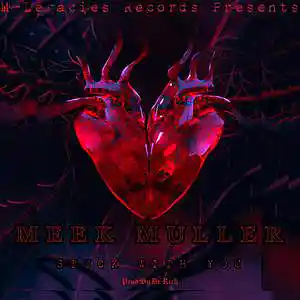 Picture for song 'Stuck With You' by artist 'Meek Muller'