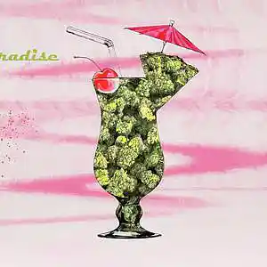 Picture for song 'Daisy the Painkiller' by artist 'Ozy'