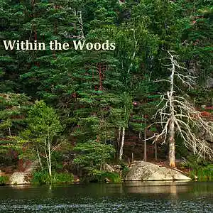 Picture for song 'WithiIn the Woods' by artist 'Pocke Ohrstrom'