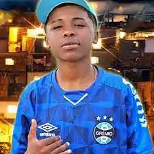 Picture for song 'MC MENO K "CAMISA DO GRÊMIO"' by artist 'storm on da beat'