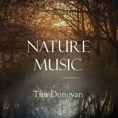 Picture for song 'Raindrops' by artist 'Tim Donovan'
