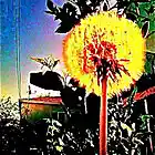 Picture for song 'Things That I Say' by artist 'Melissa Lee Music'