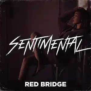 Picture for song '"Sentimental" Sad Emotional Type Beats' by artist 'Red Bridge Production'