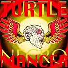 Picture for song 'WarBird' by artist 'Turtle Necromancer'