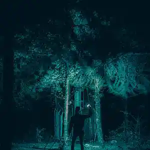 Picture for song '"TraIL" Beat for Sale' by artist 'whoDeanyBeatz'