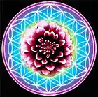 Picture for song 'SHE'S INTUITIVE' by artist 'Auntie Matter'