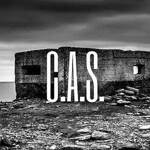 Picture for song 'Perpetual War' by artist 'C.A.S.'