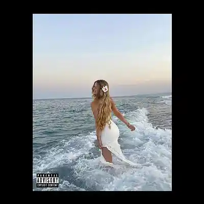 Picture for song 'Melodic Trap Type Beat - "SIEMPRE"' by artist 'D4NY'