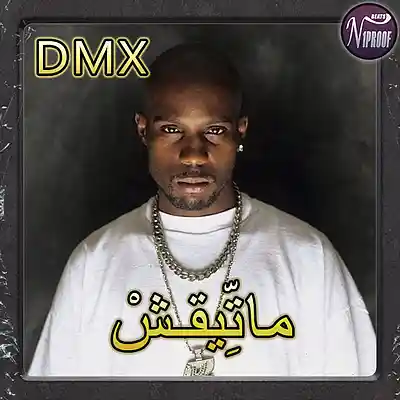 Picture for song 'DMX TYPE BEAT NO TRUST' by artist 'N1PROOF BEATS'