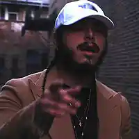 Picture for song 'NEVER WANNA DIE (POST MALONE TYPE)' by artist 'Red Mcfly Beats'