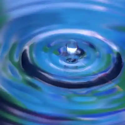 Picture for song 'El agua y yo' by artist 'Rupestre'