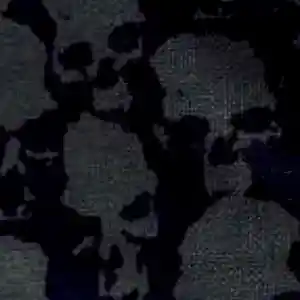 Picture for song 'siccbet5' by artist 'siccbet'