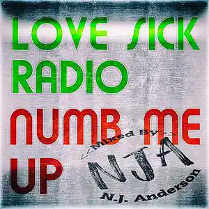 Picture for song 'PLAP Love Sick Radio Numb Me Up Mixed By NJA' by artist 'Songs Mixed By NJ Anderson'