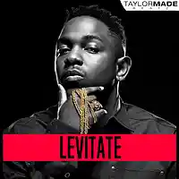 Picture for song 'Levitate ' by artist 'TaylorMadeBeatz'