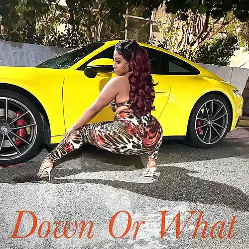 Picture for song 'Anja Nyx - Down Or What' by artist 'Anja Nyx'