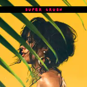 Picture for song 'Super Crush' by artist 'BachBeats Official'