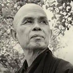 Picture for song 'Thich Nhat Hanh: Calm - Ease Meditation' by artist 'Copleston Mindfulness I'