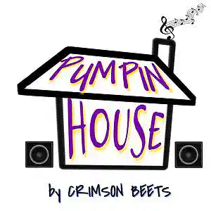 Picture for song 'PUMPIN HOUSE' by artist 'CRIMSON BEETS'