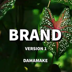 Picture for song 'Brand (V1) R&B ( Summer Walker x Jhene AIko )' by artist 'DAMAMAKE'