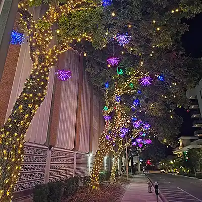 Picture for song 'Heart of the City' by artist 'Hoamless Delinquenze'