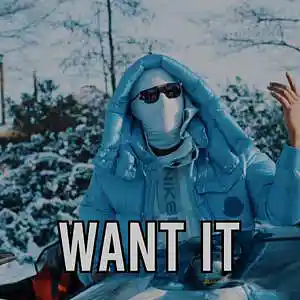 Picture for song 'Want It' by artist 'IDS BEATS'