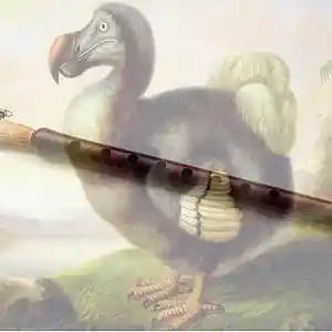 Picture for song 'Dodo ok' by artist 'Jammer59'