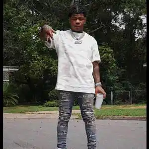 Picture for song 'Dark Rose - Rylo Rodriguez x No Drums Type Beat' by artist 'Milanmadeit'