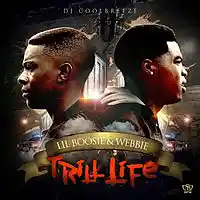 Picture for song 'TouchedDown 2- Webbie & Boosie Type Beat' by artist 'PureBread Pro'