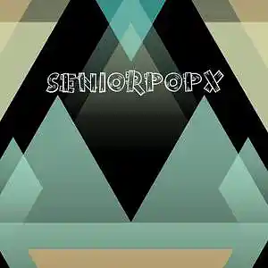 Picture for song 'what u want' by artist 'seniorpopX'