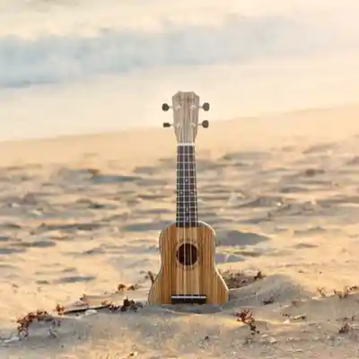 Picture for song 'Sad song - Ukulele Type Beats/ Acoustic Ukelele Lo' by artist 'Stc Beats VB'