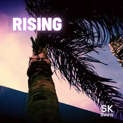 Picture for song 'Rising - HipHop Piano Type Beat' by artist 'Stephane Kirat Beats'