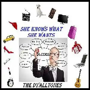 Picture for song 'She Knows What She Wants' by artist 'The DyallTones'