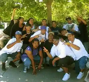cover pic