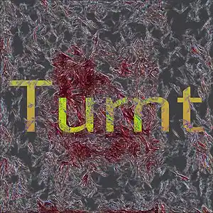 Picture for song 'turnt' by artist 'Adron Got Hits'