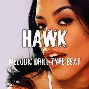 Picture for song 'Hawk - Melodic Drill Type Beat (143 BPM)' by artist 'KageLevelBeats'