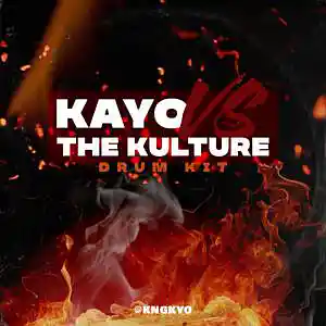 Picture for song 'Issues' by artist 'King Kayo'