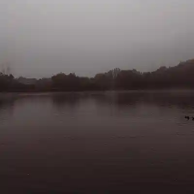 Picture for song 'The Samples' by artist 'Restsound'