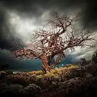 Picture for song 'Give Me a Night ....' by artist 'stefanos grigoriadis'