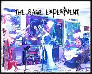 Picture for song 'Nervous Sky Shining 12/4/13' by artist 'The Sage Experiment'