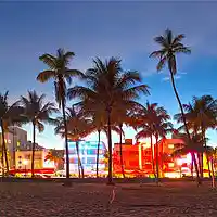 Picture for song 'Miami Plug (BUY 3 GET 1 FREE)' by artist 'ThaRealBeachboy'