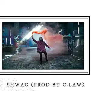 Picture for song 'Shwag (146bpm)' by artist 'WhiteSharkBeats'