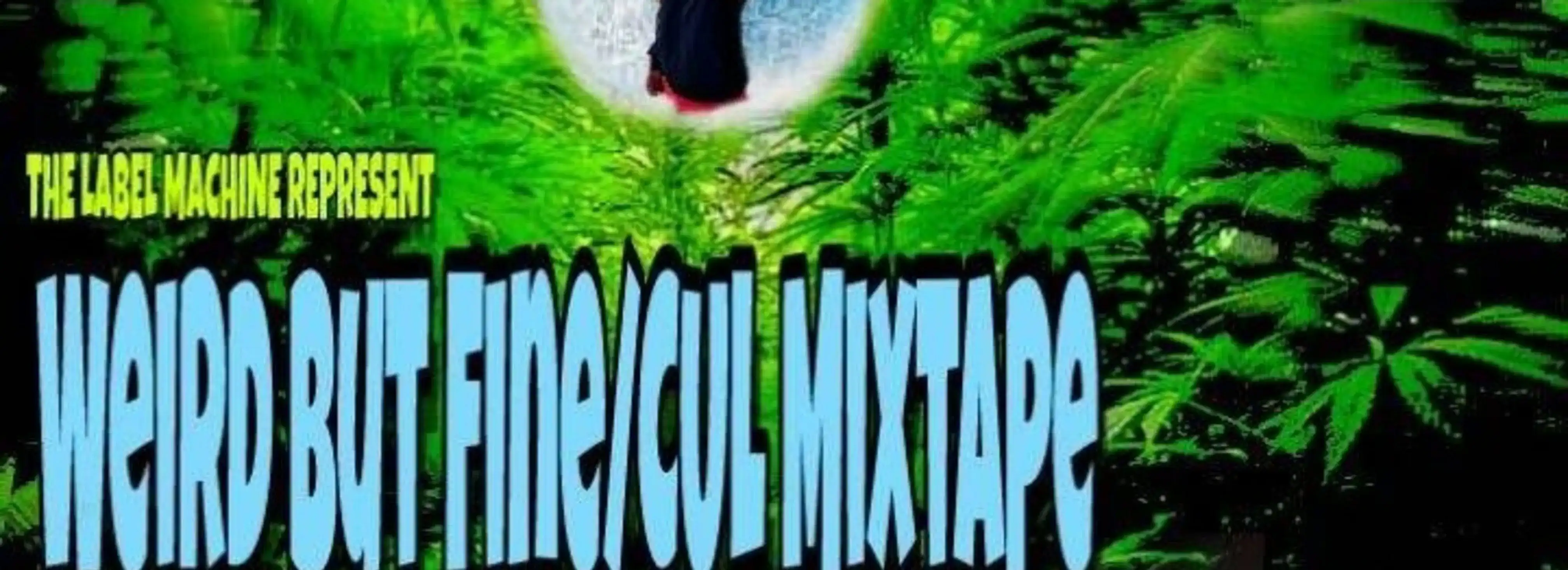 cover pic