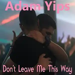 Picture for song 'Don't Leave Me This Way (Glitter & Shadows mix)' by artist 'Adam Yips'
