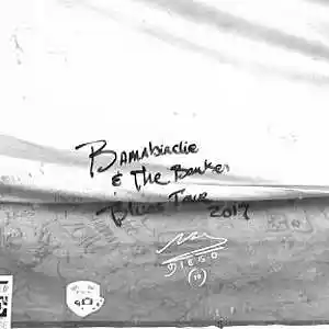 Picture for song 'Lord I'm Poor' by artist 'Bamabirdie and the Banker'
