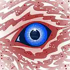 Picture for song 'Us As Eyes' by artist 'KrissiO'