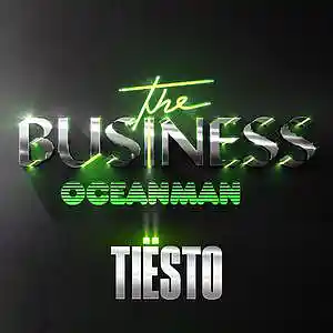 Picture for song 'The Business (Tiesto Remix)' by artist 'Oceanman'