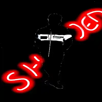 Picture for song 'Shaded' by artist 'Proword'