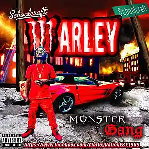 Picture for song 'Sch96lcraft Marley X Sch96lcraft Stan & Pstreets X' by artist 'Sch96lcraft Marley'